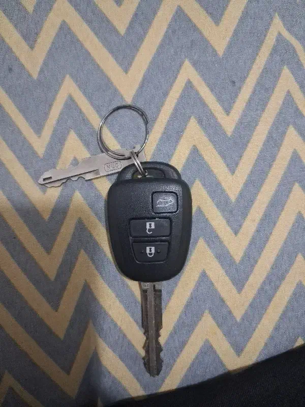 ریموت امپ پیچبند|کلکسیون و سرگرمی|فلاورجان, |دیوار