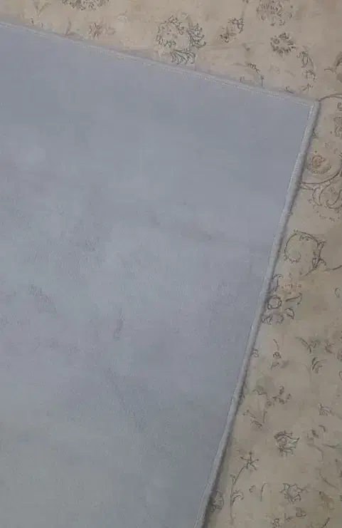 پالاز موکت|موکت|ری, ظهیرآباد|دیوار