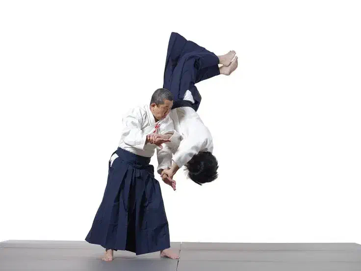 آموزش دفاع شخصی|خدمات آموزشی|اردکان, |دیوار