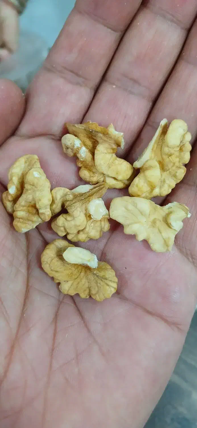 بادام گردو و آلوچه|خوردنی و آشامیدنی|مشهد, فتح المبین|دیوار