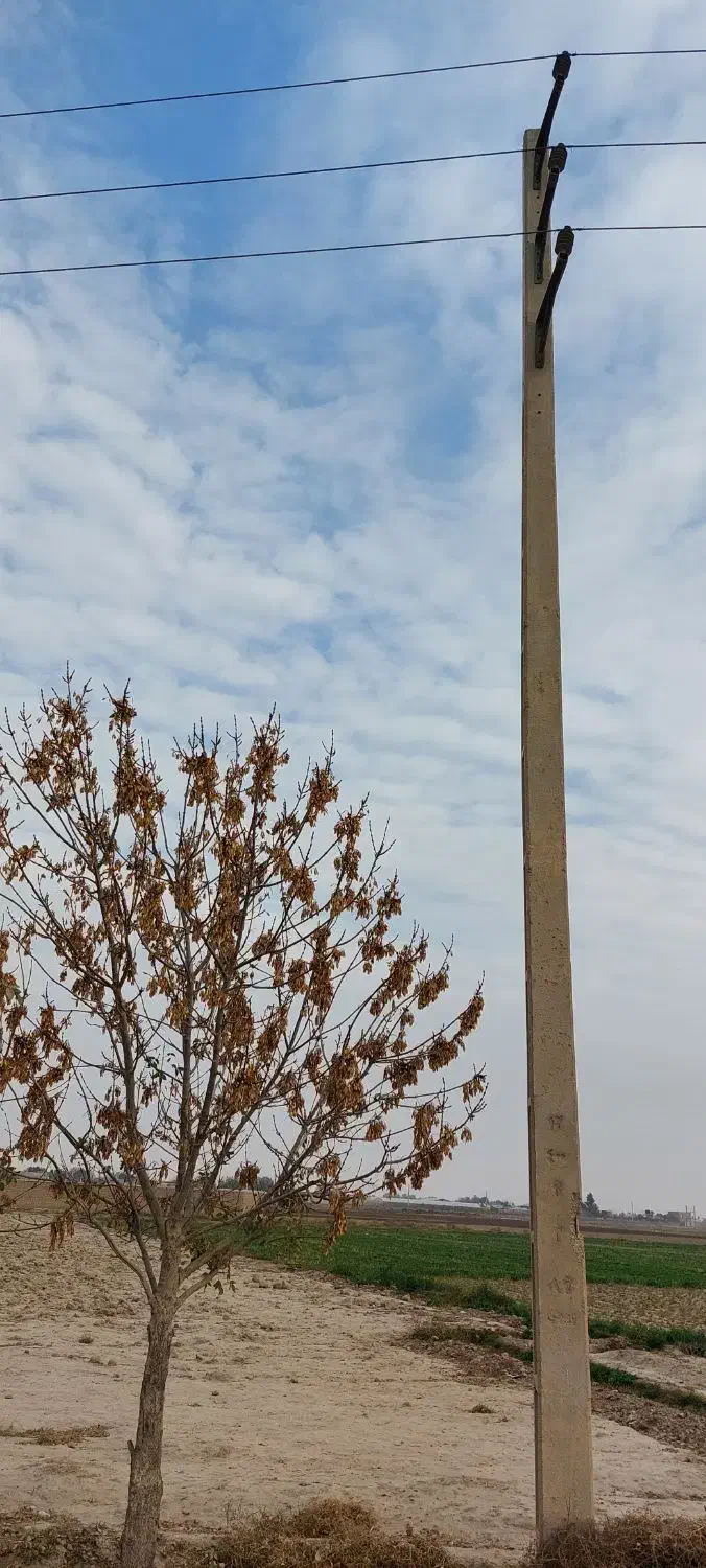 زمین ۳۲۰۰ متری با بر ۳۰ متر بر جاده  و برق سر زمین|فروش زمین و ملک کلنگی|جوادآباد, |دیوار