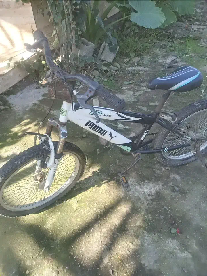 دوچرخه سایز ۲۰|دوچرخه، اسکیت، اسکوتر|گوراب زرمیخ, |دیوار