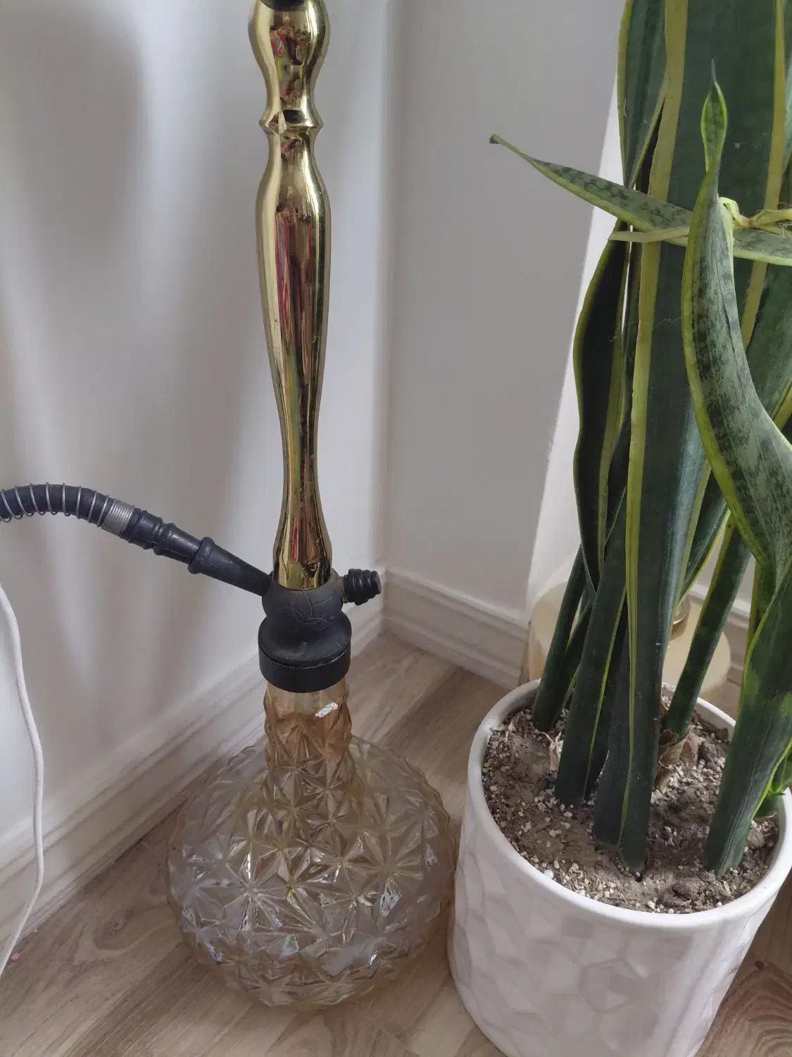 قلیون عربی|کافیشاپ و رستوران|محمدشهر, محمدشهر|دیوار