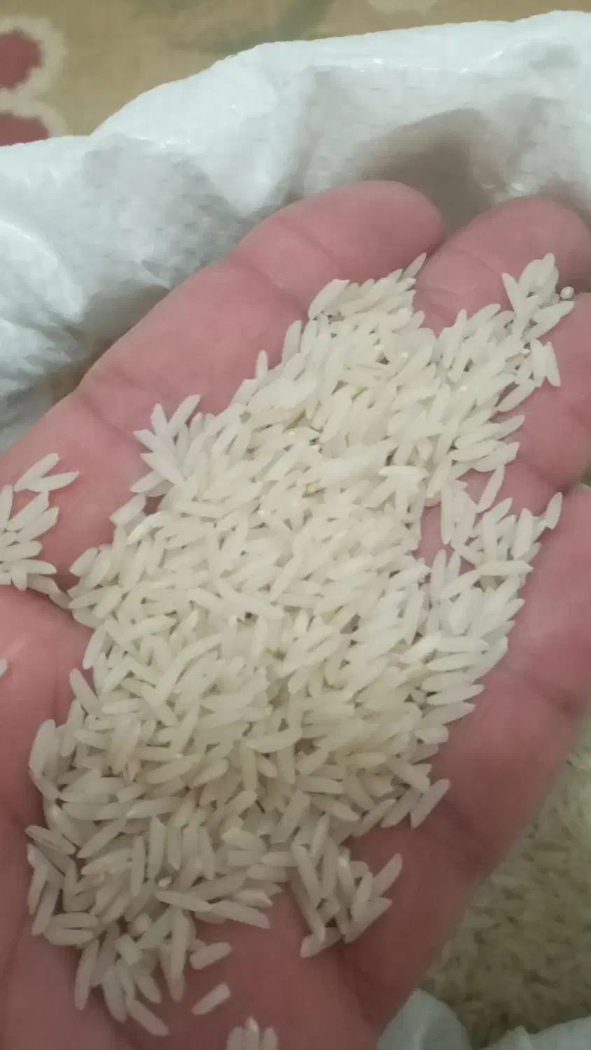 برنج طارم دم سیاه|خوردنی و آشامیدنی|ورامین, ورامین|دیوار