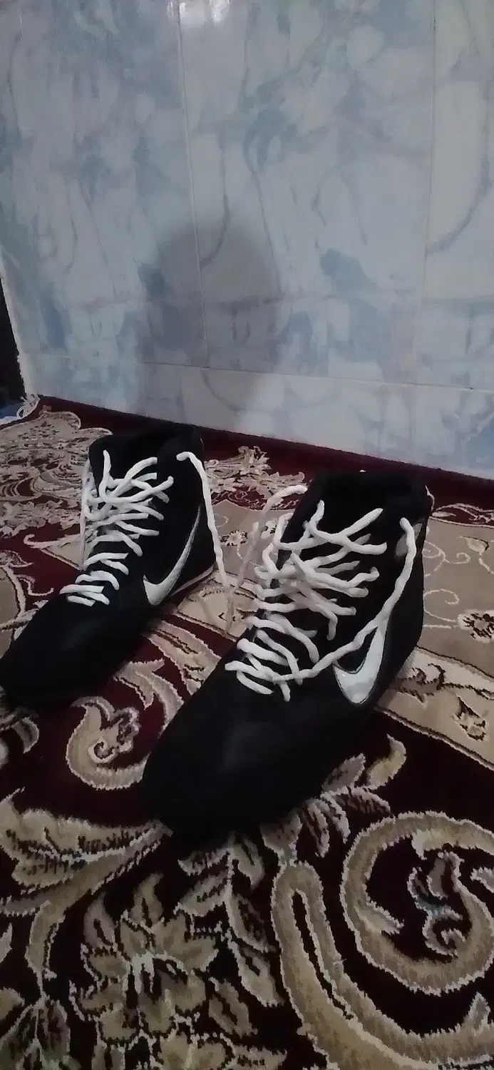 کفش بوکس|کیف، کفش، کمربند|باخزر, |دیوار