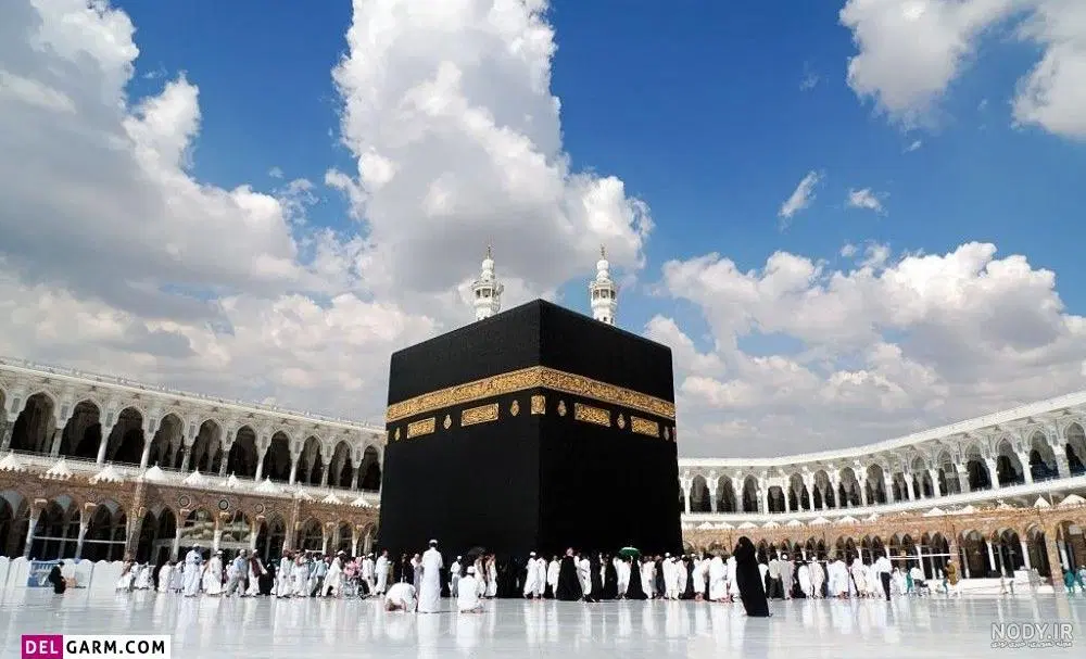 فیش حج|تور و چارتر|گنبد کاووس, |دیوار