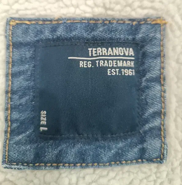 کاپشن لی داخل پشمی برند Terranova|لباس|قم, بکایی|دیوار