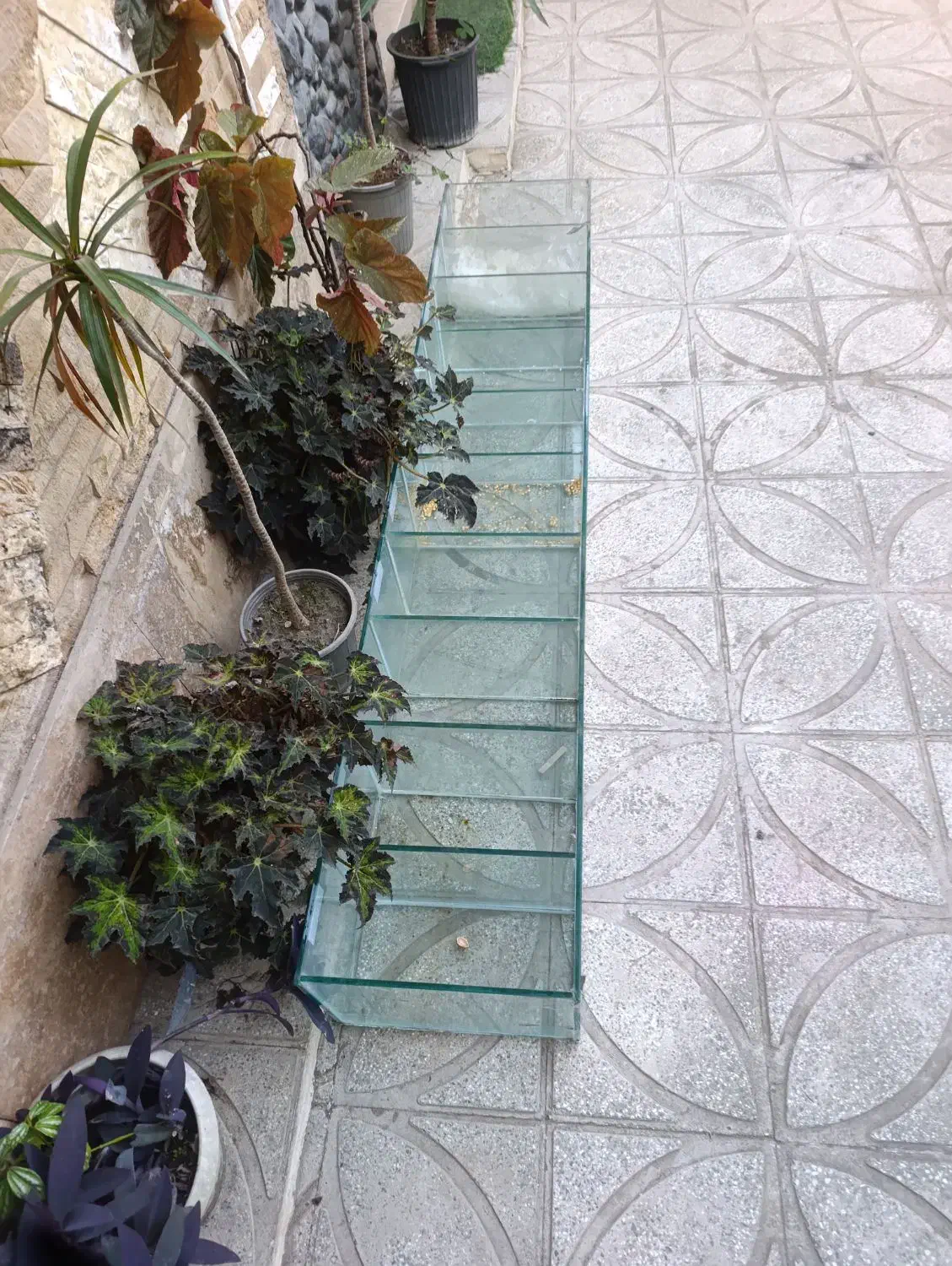 جا شیشه ایی حبوبات برای سوپر مارکت|فروشگاه و مغازه|رامسر, |دیوار