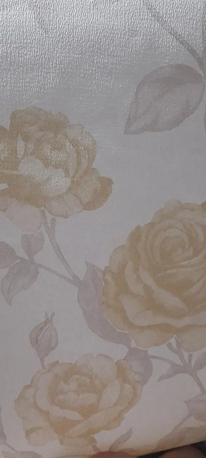 نصب کاغذ دیواری نصف قیمت بازار|خدمات پیشه و مهارت|ماکو, |دیوار