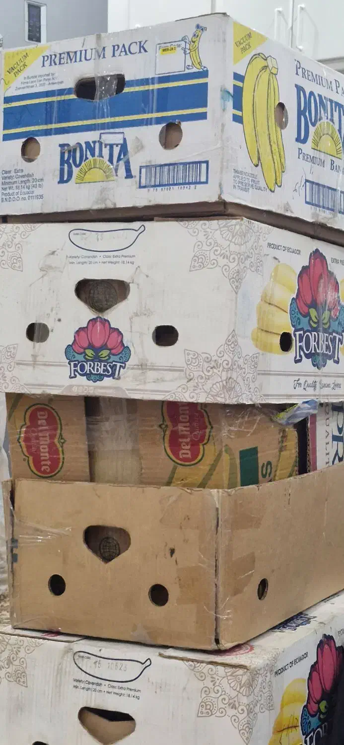 کارتن موزی|ابزارآلات|کرج, حصار سرجوب|دیوار