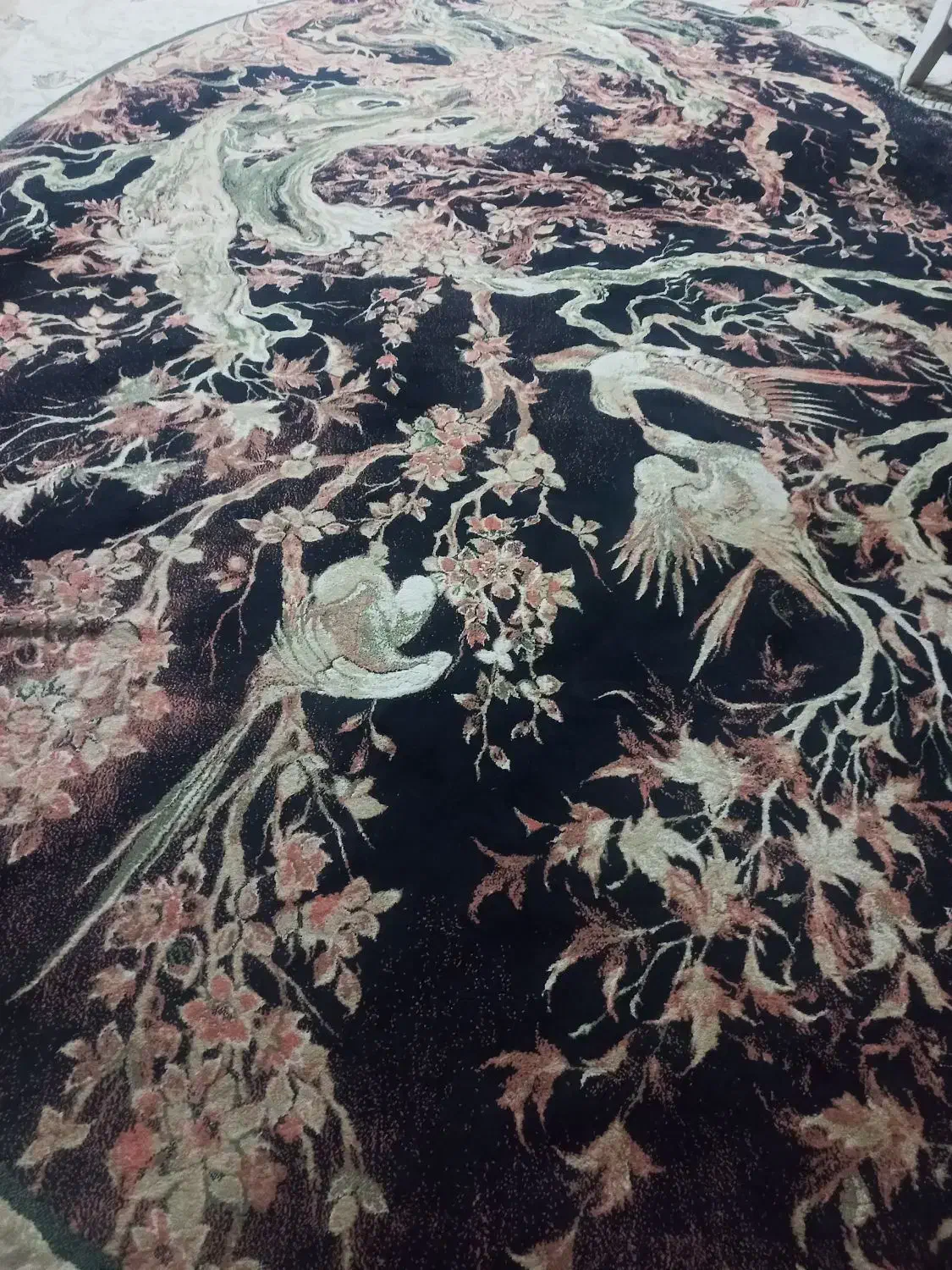 فرش ۱۲ متری|فرش|رشت, شهرک شهید مفتح|دیوار