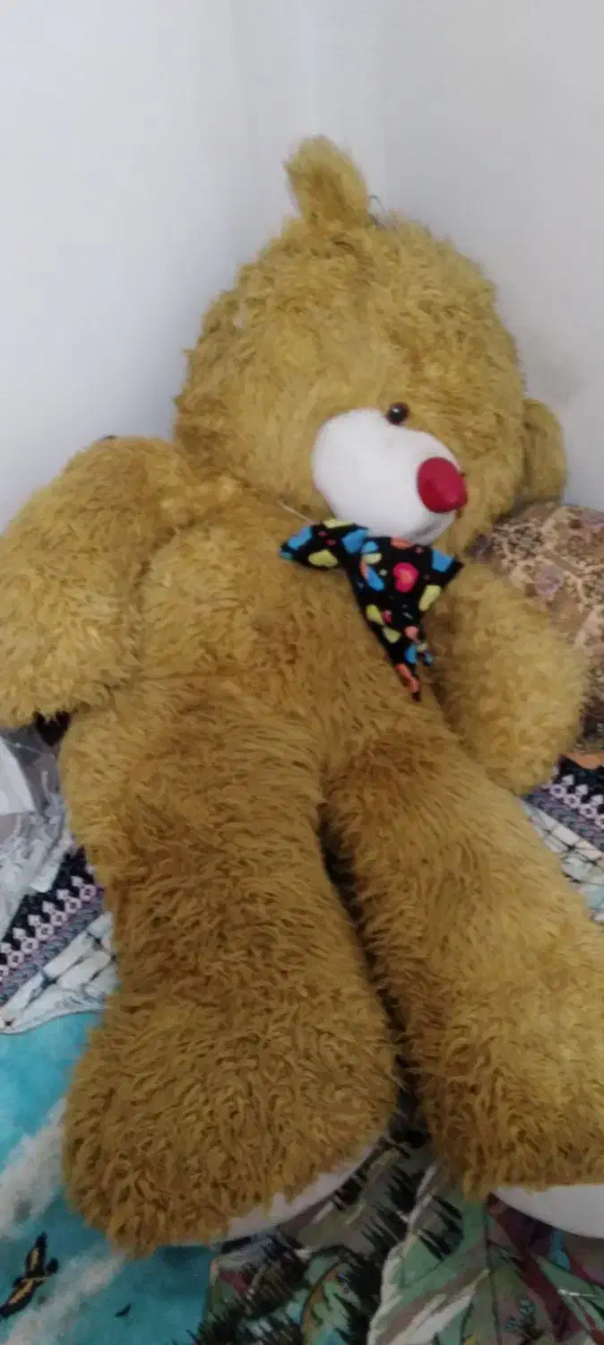 خرس شاسخین|اسباببازی بچه|تنکابن, |دیوار