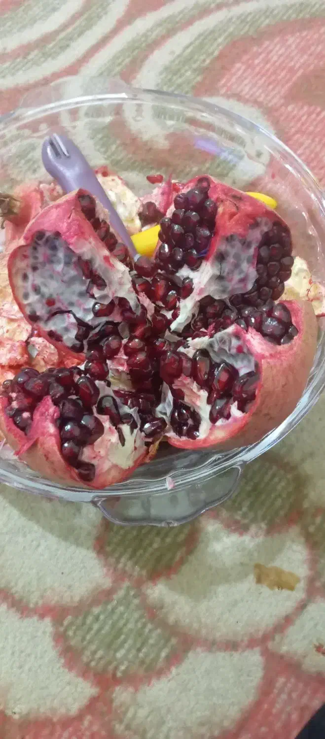 انار دانه مشکی|حراج|داراب, |دیوار