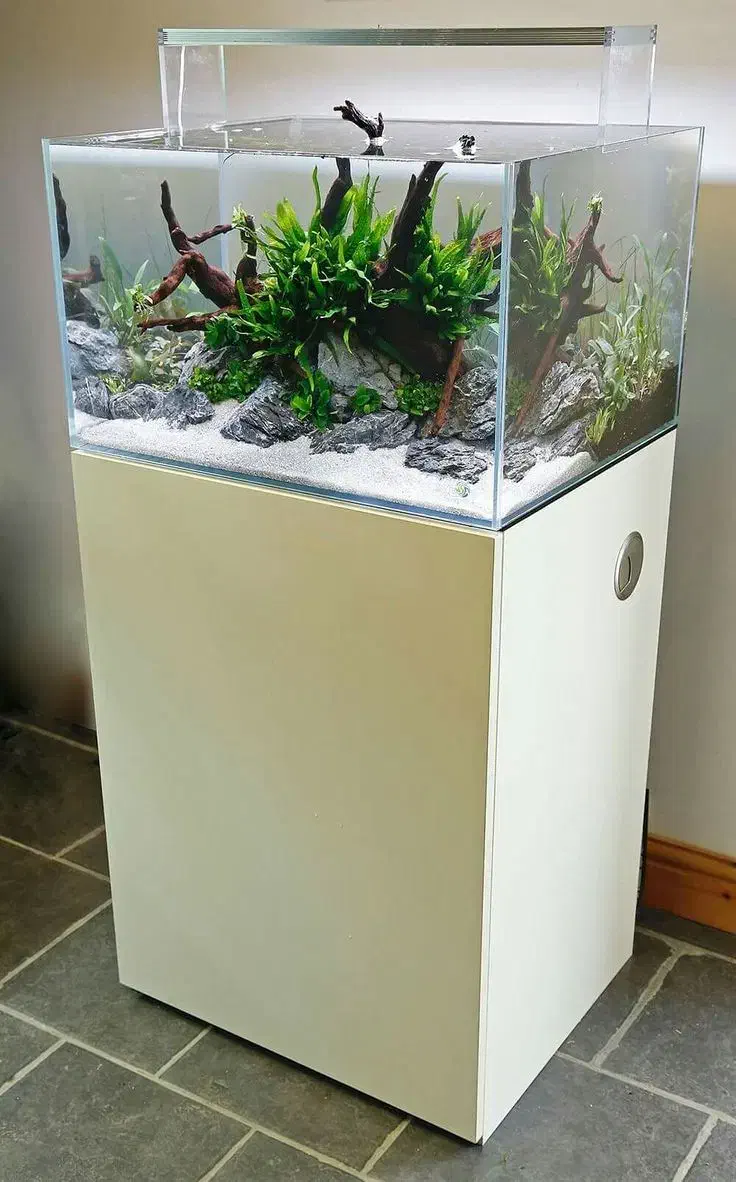 نیازمند نصاب آکواریوم پلنت /گیاهی|استخدام صنعتی، فنی، مهندسی|خمینیشهر, |دیوار