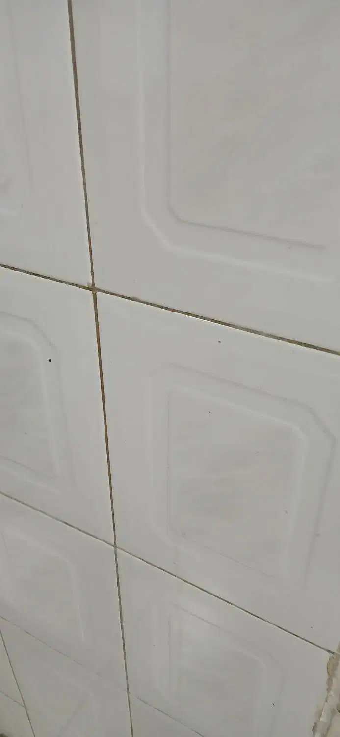 بنایی ساختمان درکلیه کارهای ساختمان|خدمات پیشه و مهارت|فردیس, شهرک سپاه|دیوار