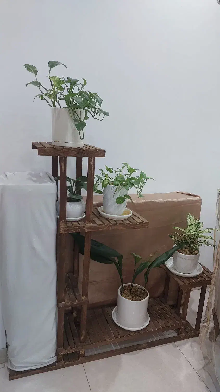 استند گل|گل و گیاه طبیعی|گلستان (تهران), |دیوار