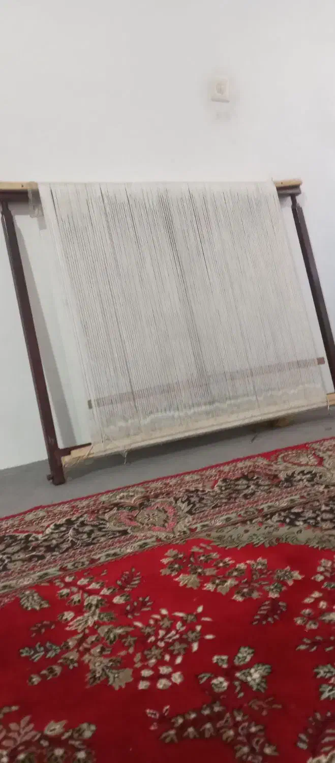 دارگالی زرنیم|فرش|تبریز, |دیوار