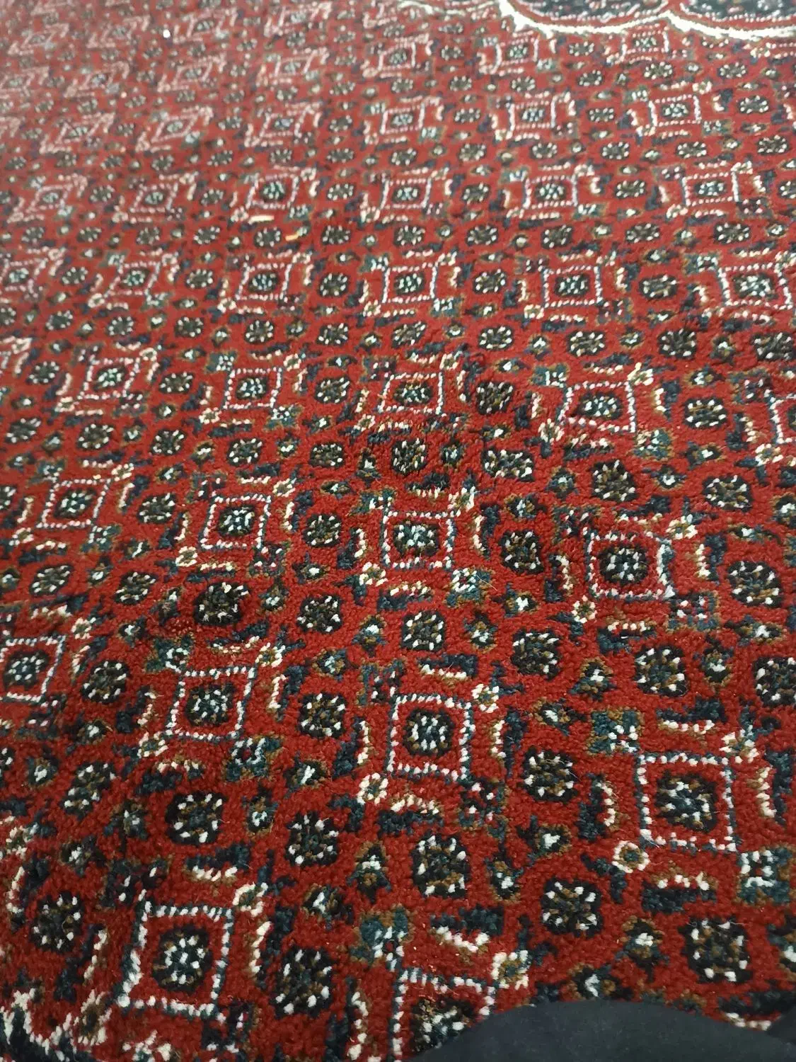 اجاره خانه در دهدشت ، دره لبک|اجارهٔ خانه و ویلا|سوق, |دیوار