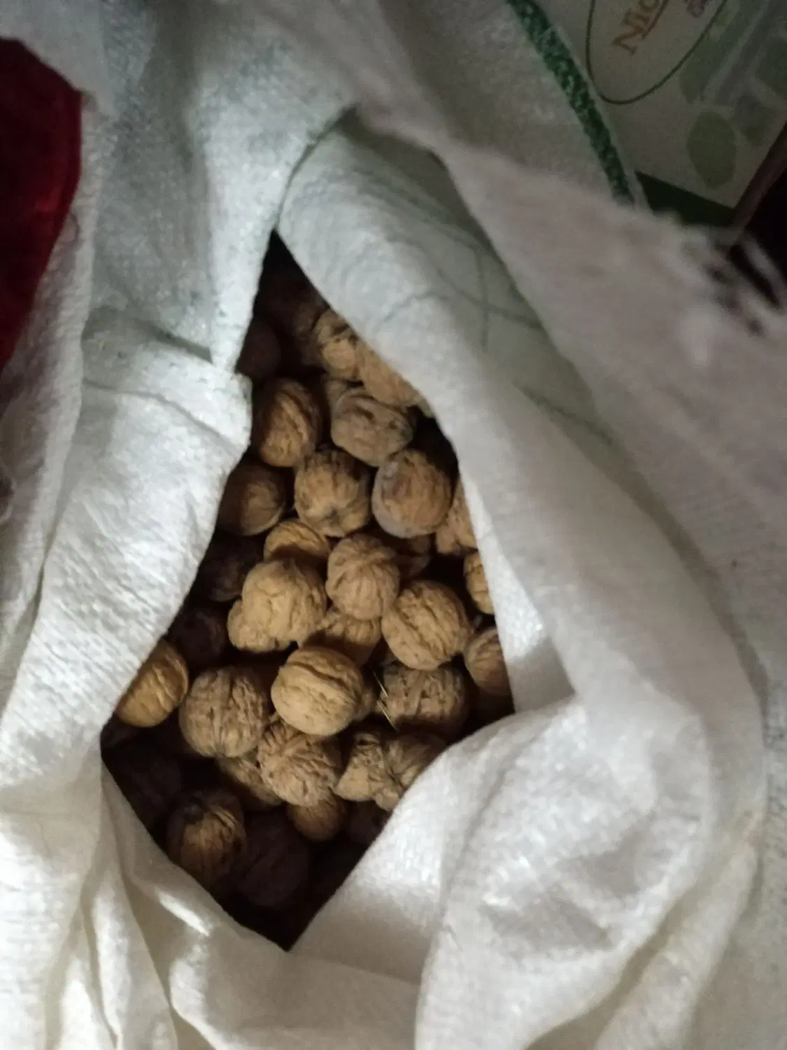 گردو درگز|خوردنی و آشامیدنی|مشهد, حجاب (شهرک غرب)|دیوار