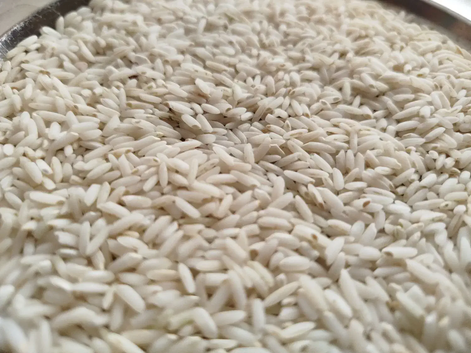 برنج محلی|خوردنی و آشامیدنی|تهران, بوستان چیتگر|دیوار