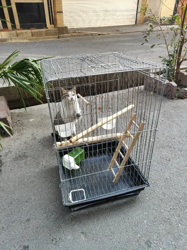 قفس طوطی سانان و غیره|لوازم جانبی حیوانات|تهران, امام زاده عبدالله|دیوار