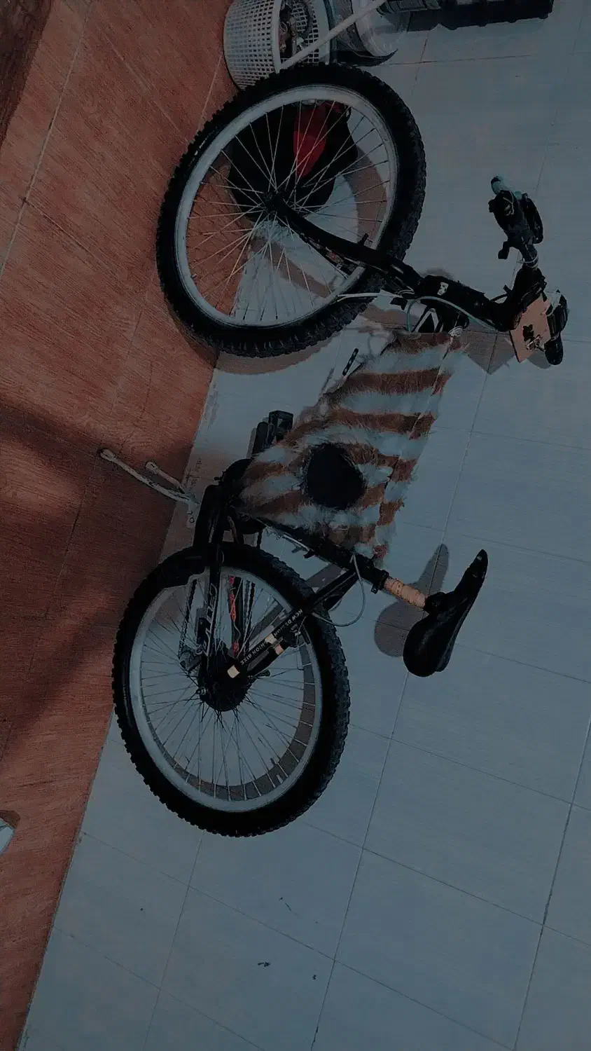 لوازمی|دوچرخه، اسکیت، اسکوتر|اهواز, شهرک برق|دیوار