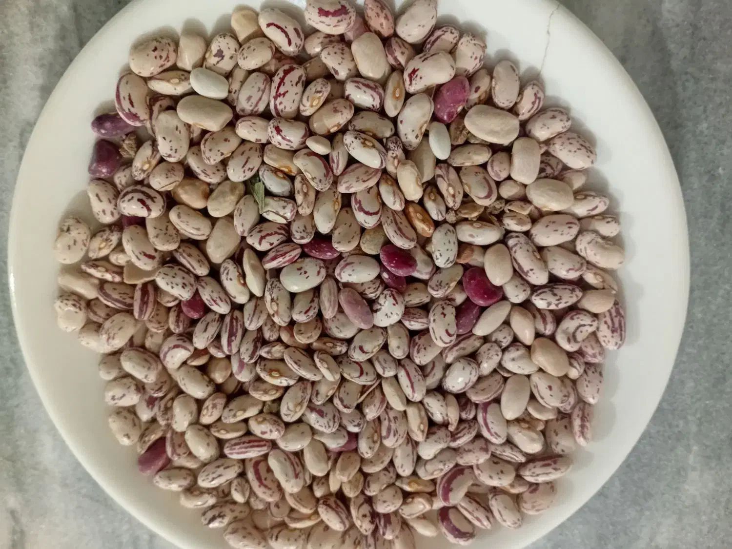 انواع لوبیا خریداری و فروش می کنیم|خوردنی و آشامیدنی|قیدار, |دیوار