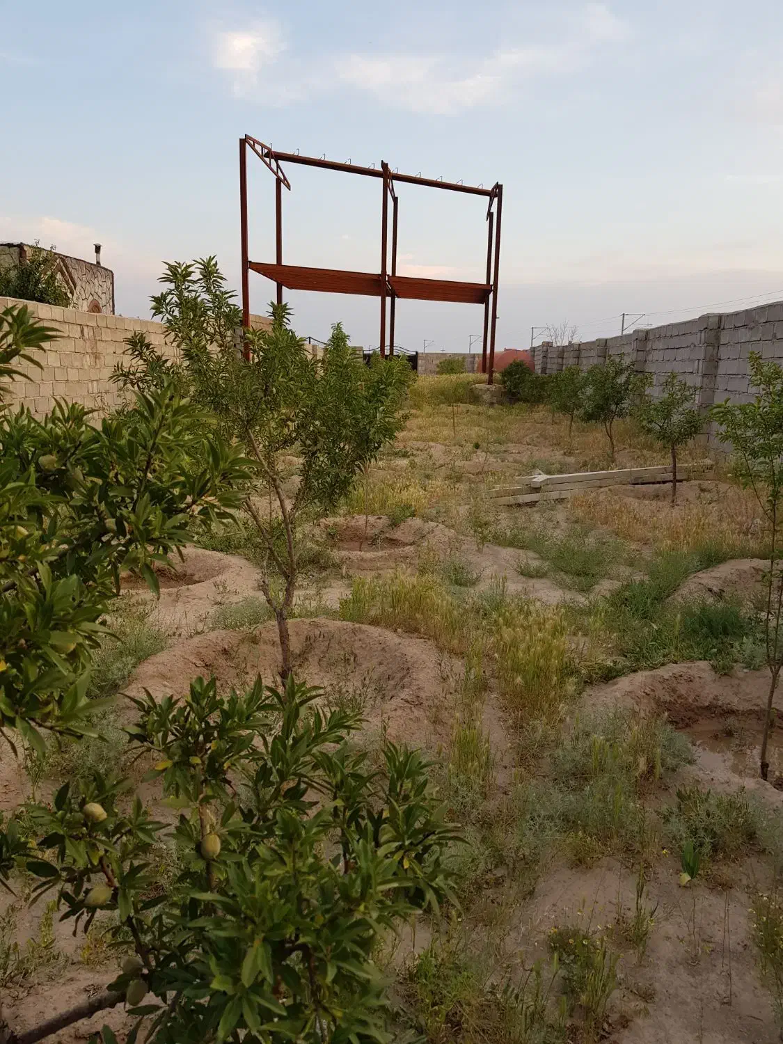 فروش باغ ۵۰۰متری|فروش زمین و ملک کلنگی|ایلخچی, |دیوار