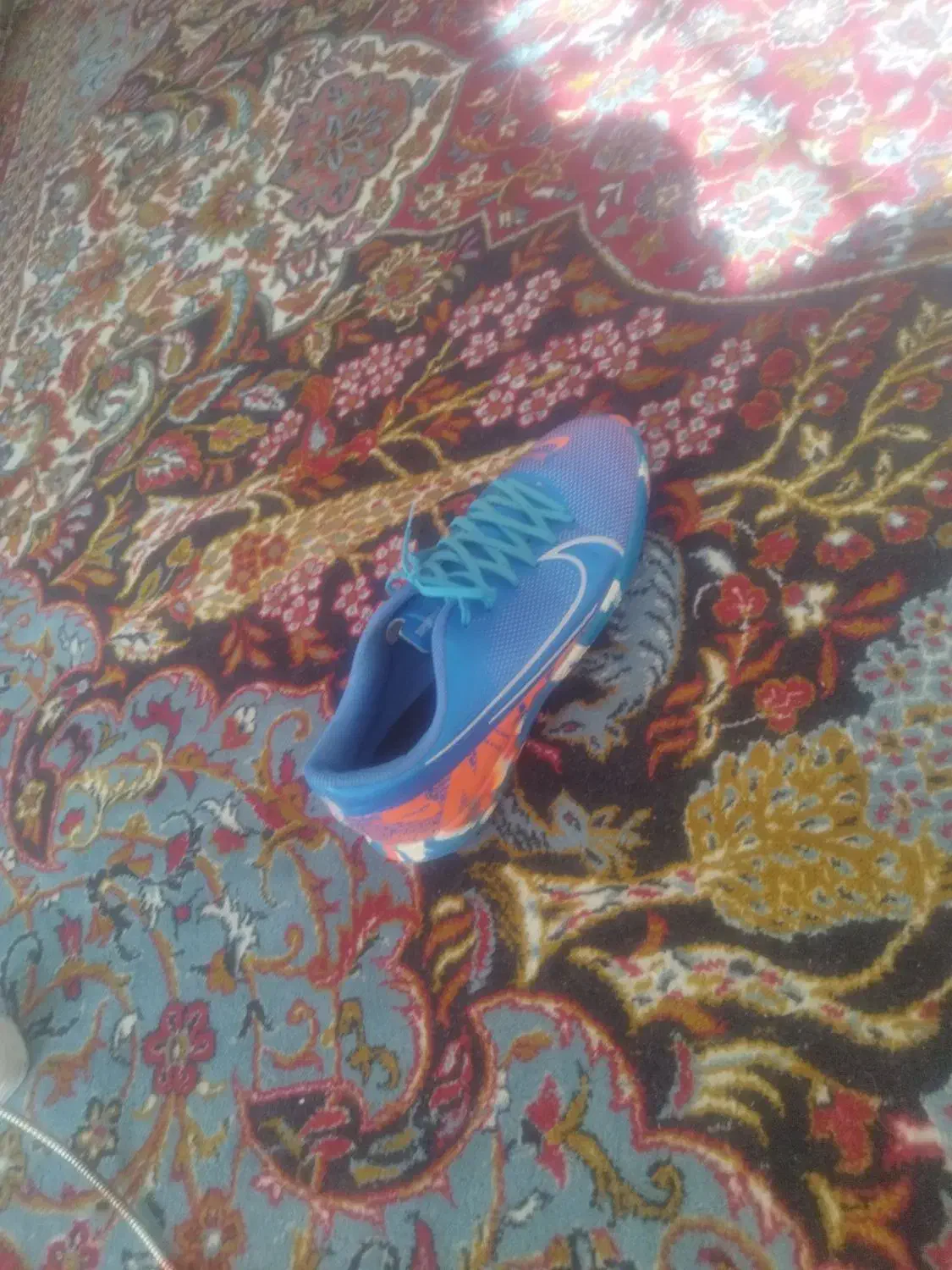 کفش صالن نونو بدون استفاده شدن|کیف، کفش، کمربند|کرمان, |دیوار