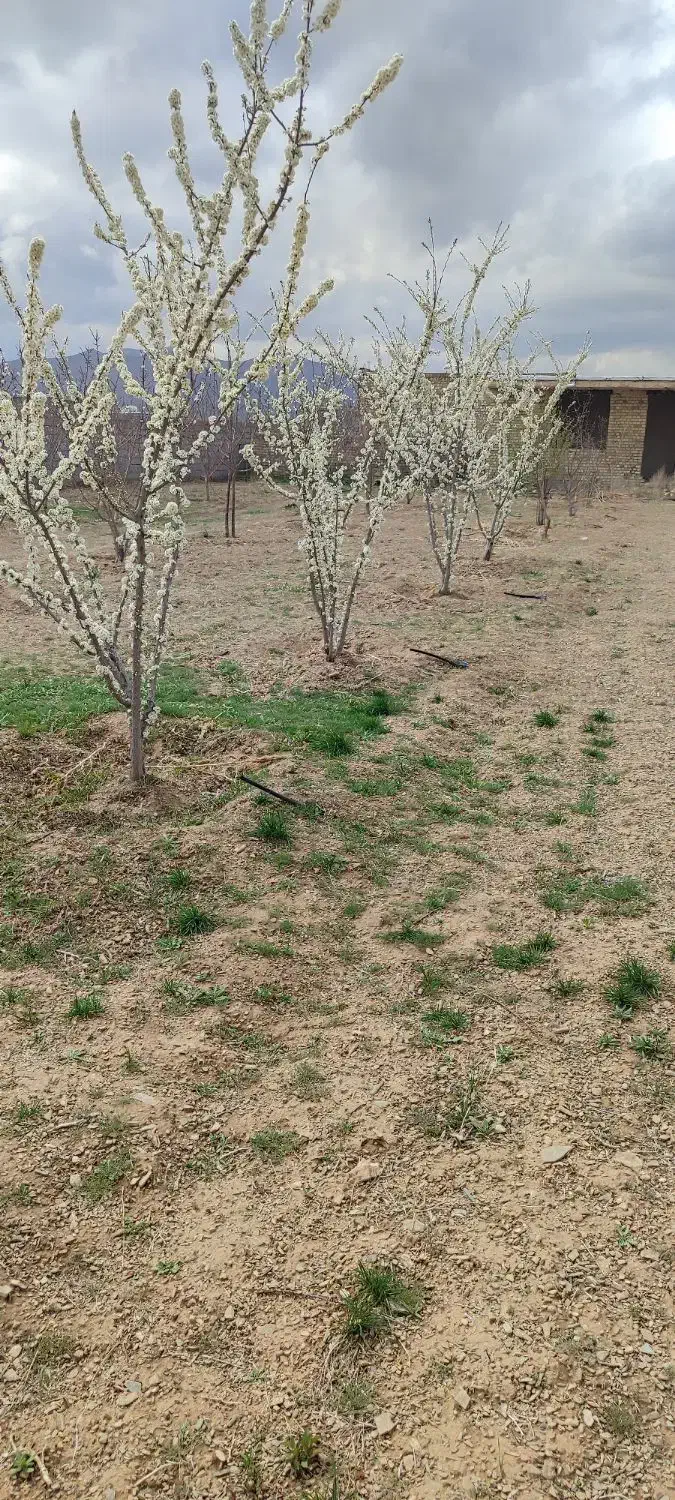 باغ|فروش زمین و ملک کلنگی|اراک, |دیوار