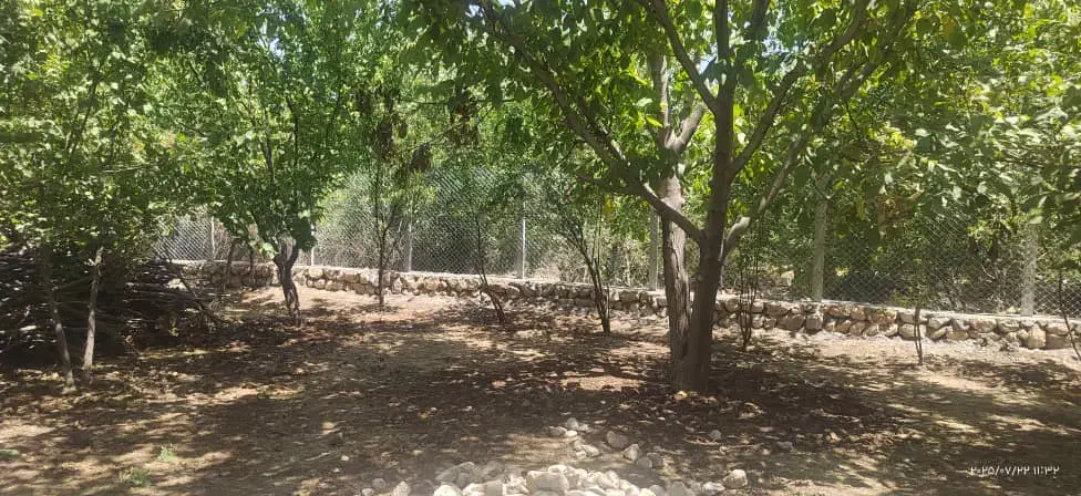 فروش خانه باغ شیک 1000 متری|فروش خانه و ویلا|ایوان, |دیوار