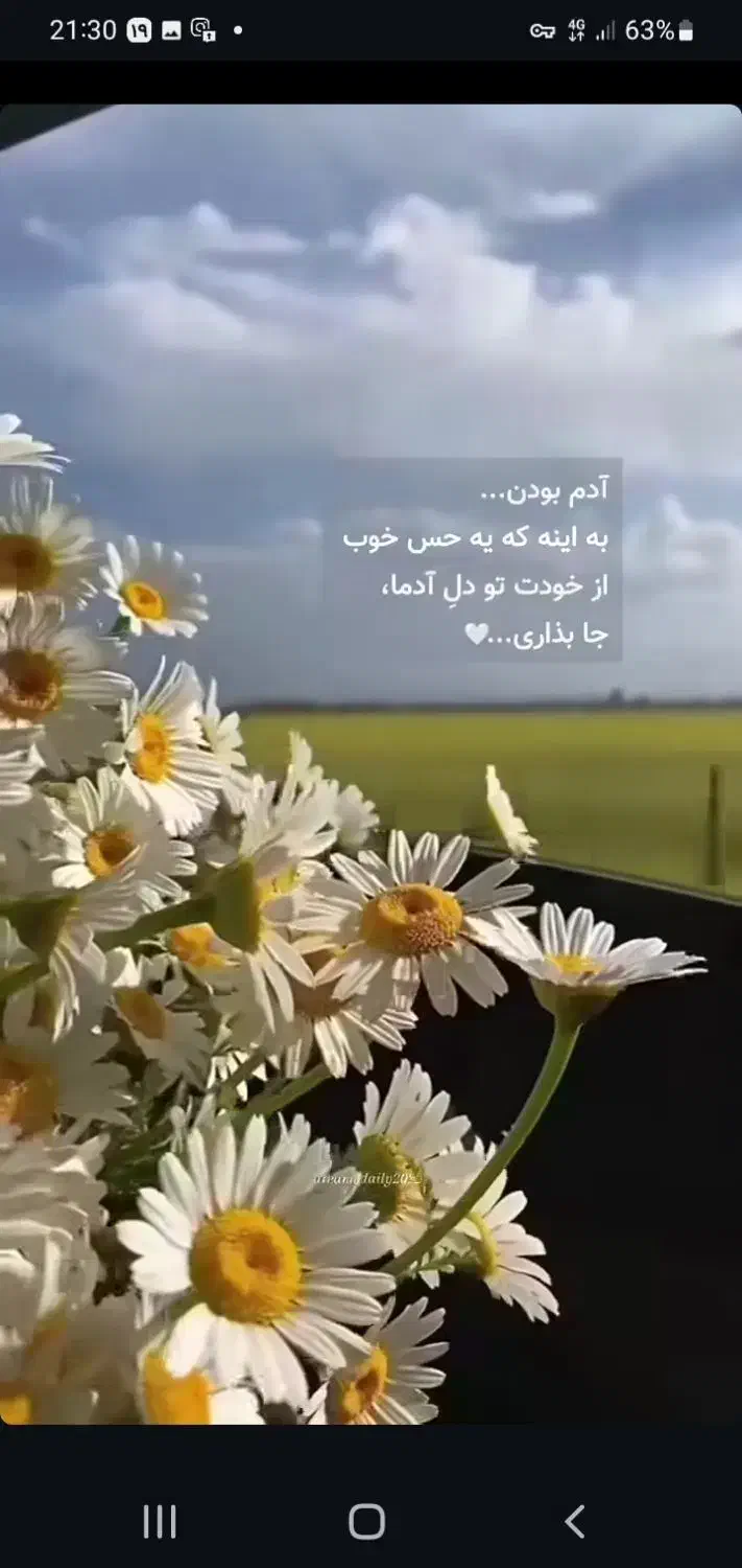 کمک وکالت|فعالیت داوطلبانه|شیراز, گویم|دیوار