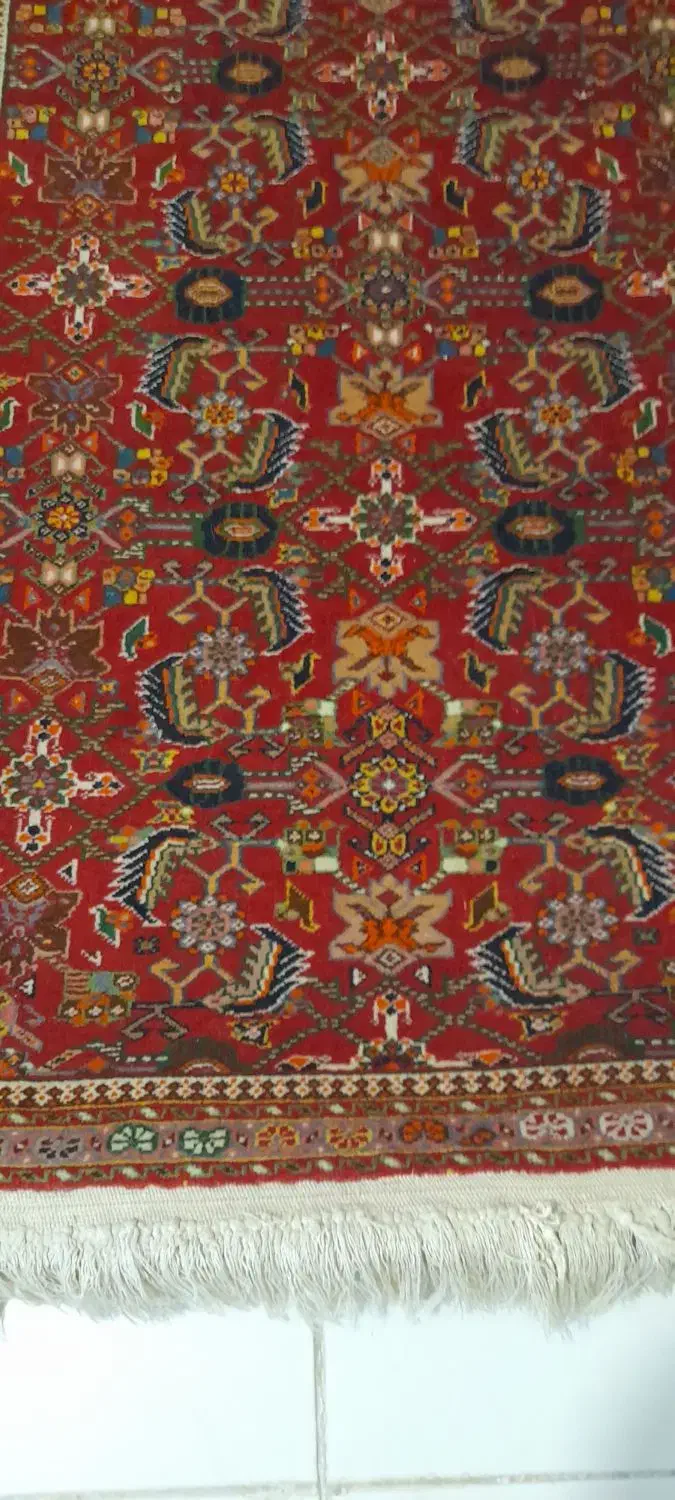 قالیچه|فرش|شیراز, شهرک بهشتی|دیوار