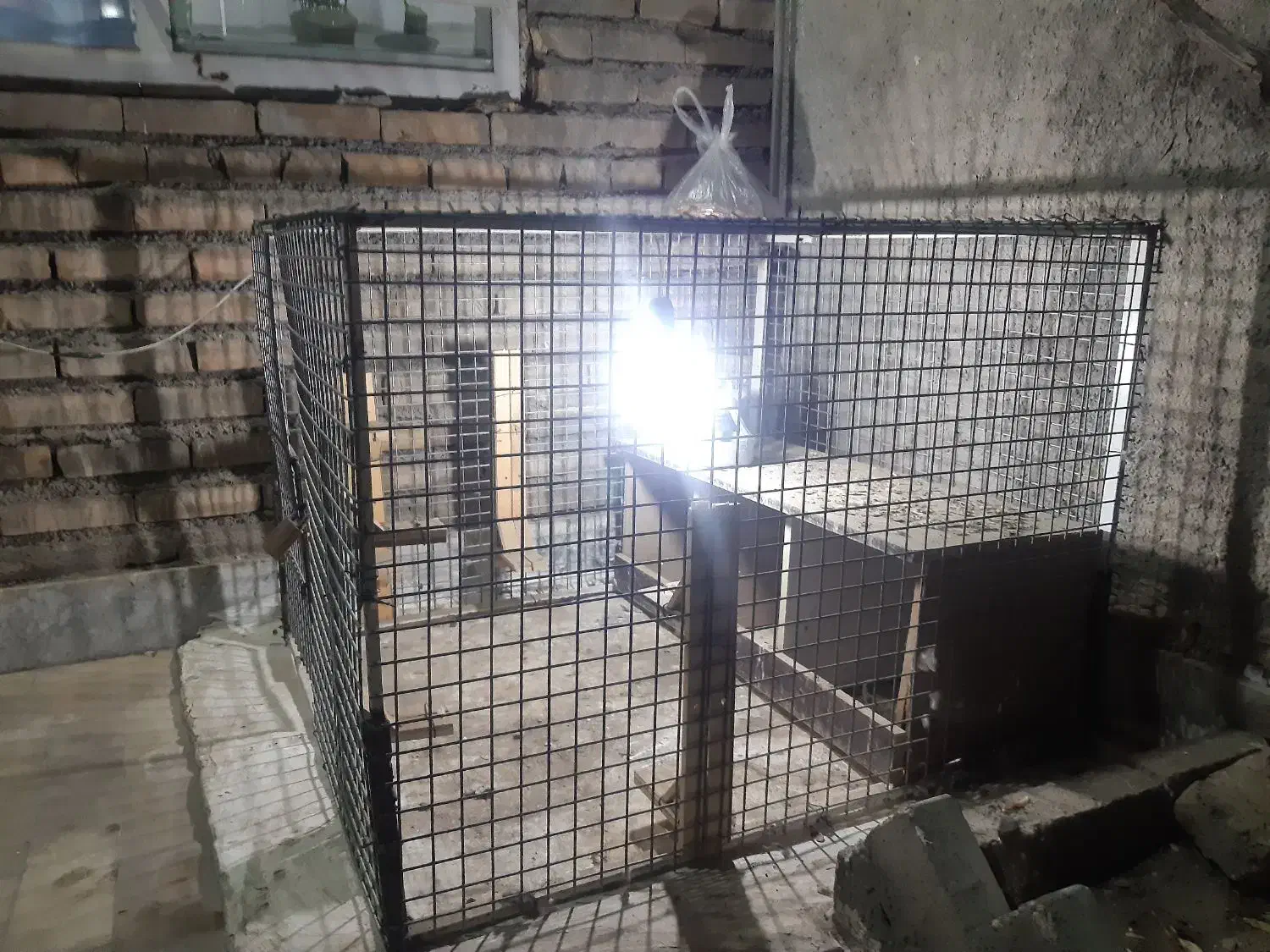 قفس فلزی|لوازم جانبی حیوانات|چناران, |دیوار