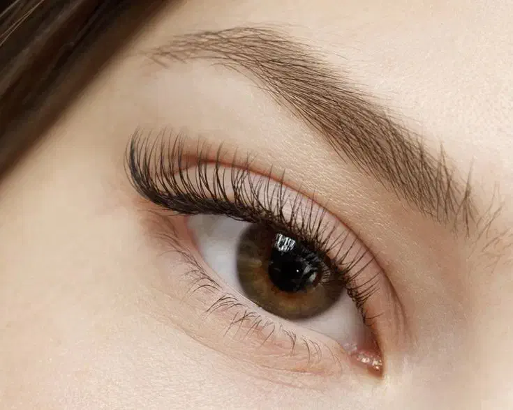 خدایی کجا برات با این قیمت اکستنشن مژه انجام میدن|خدمات آرایشگری و زیبایی|شاهینشهر, فردوسی|دیوار