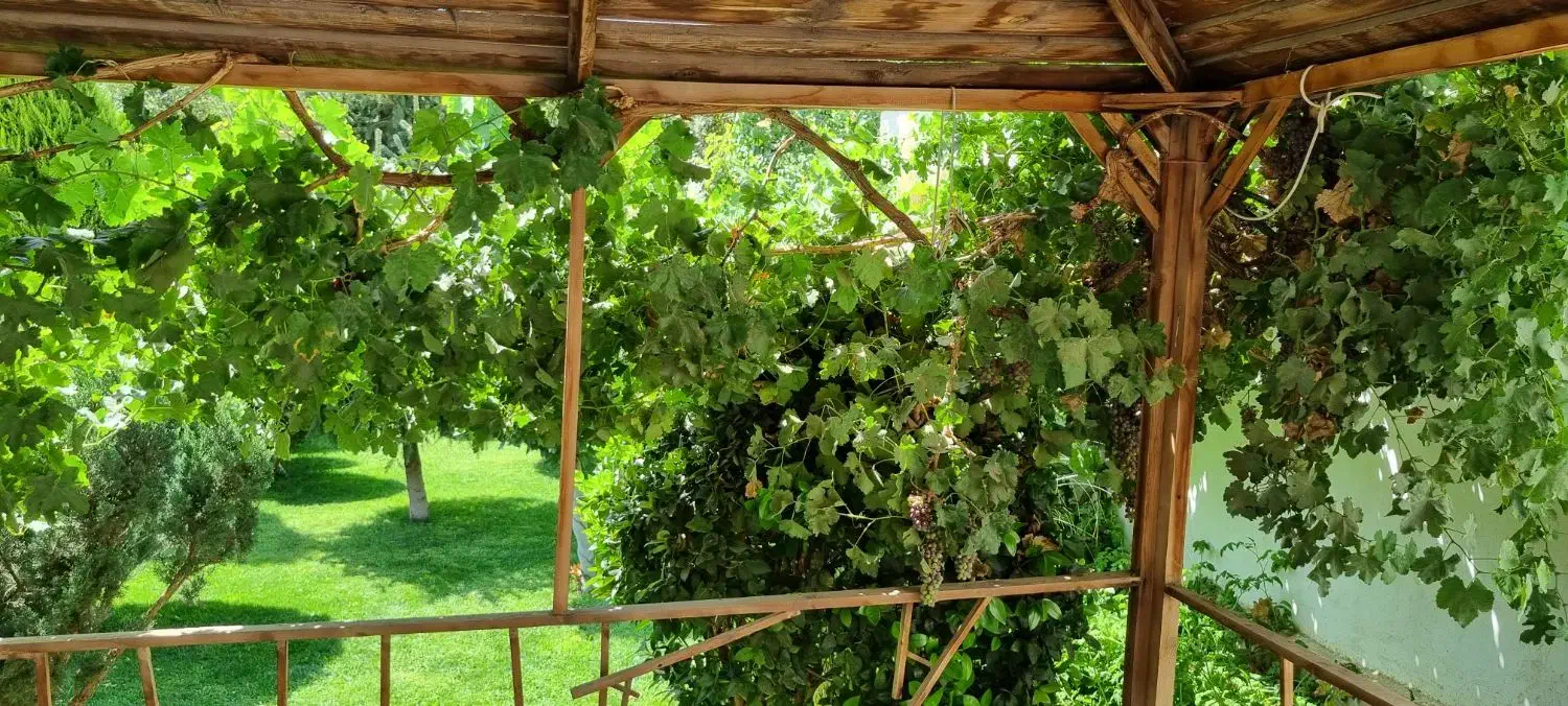 اجاره سالیانه باغ ویلای شهرکی در زیبادشت|اجارهٔ خانه و ویلا|محمدشهر, زیبادشت|دیوار