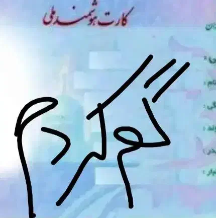 کارت ملی گمشده نسرین مرادی|اشیا|خرم‌آباد, |دیوار