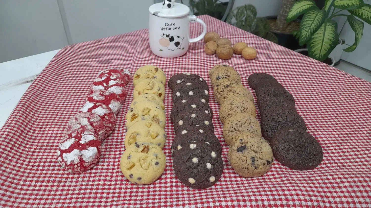 وانیلیاا|خوردنی و آشامیدنی|مشهد, طلاب|دیوار