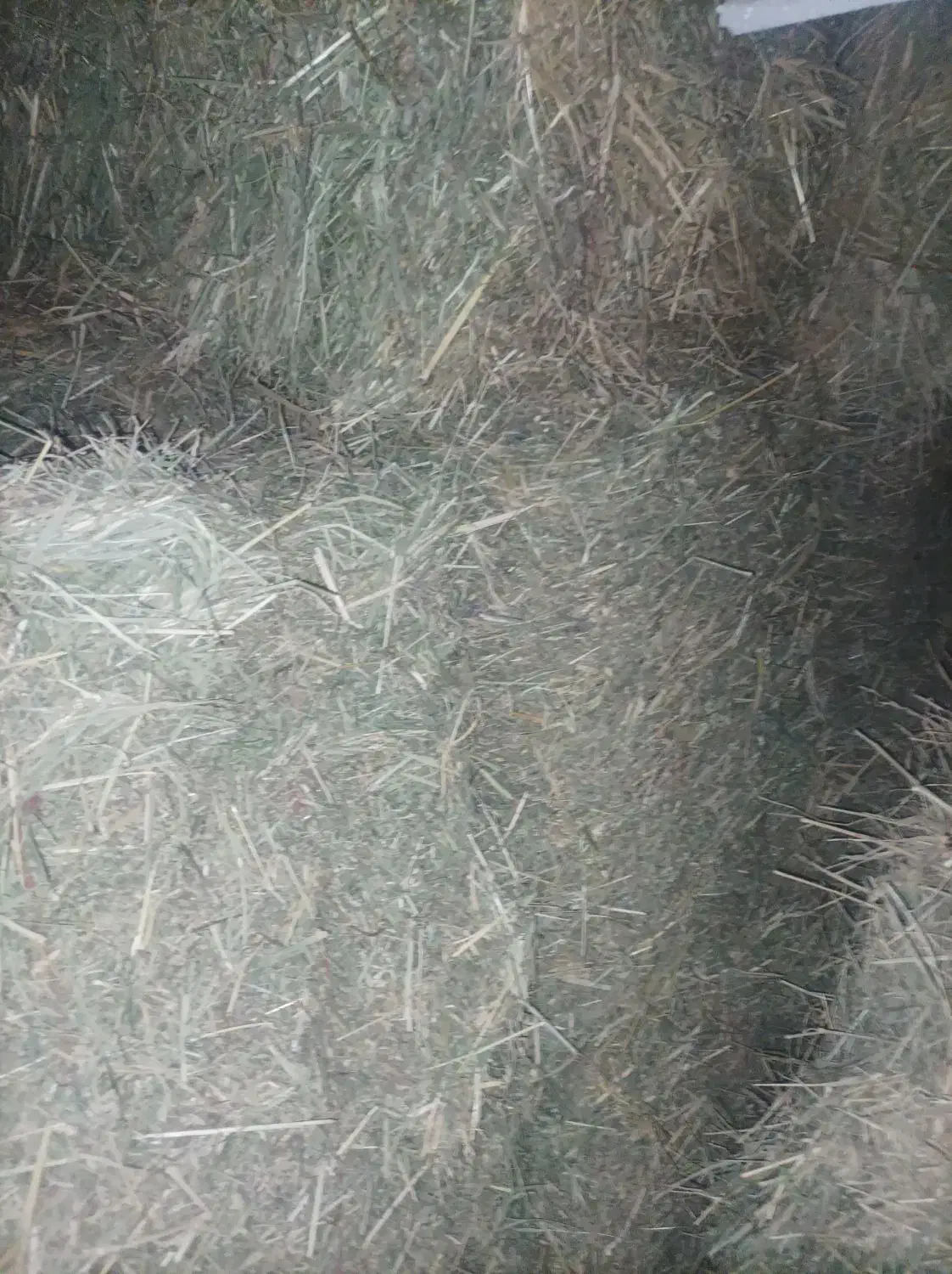 پرس یونجه|لوازم جانبی حیوانات|بروجرد, |دیوار