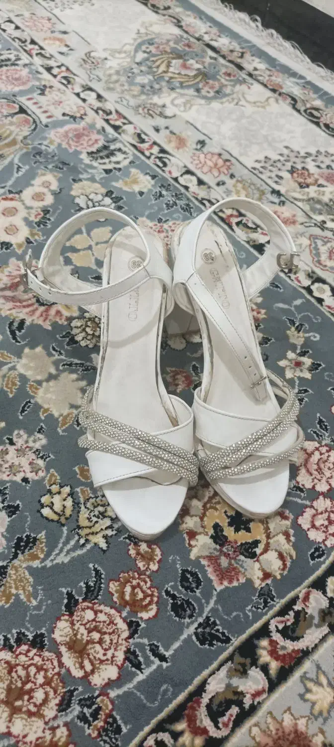 کفش مجلسی|کیف، کفش، کمربند|جوانرود, |دیوار