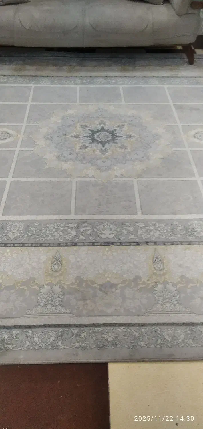 فرش|فرش|مشهد, کوی المهدی|دیوار