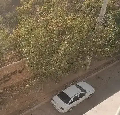 دوو سی یلو|خودرو سواری و وانت|شاهدشهر, |دیوار