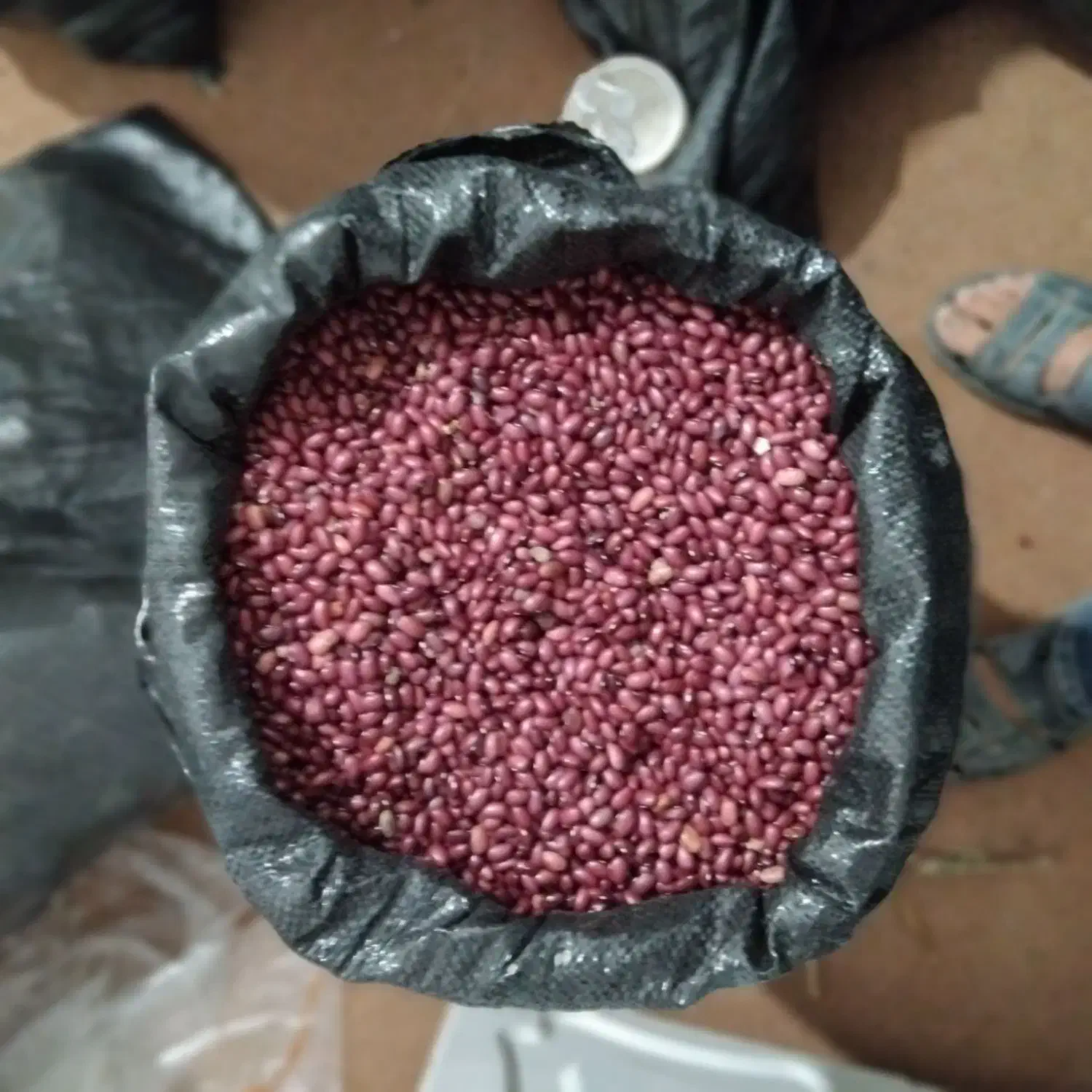 لوبیا قرمز تازه|خوردنی و آشامیدنی|ویلکیج, |دیوار