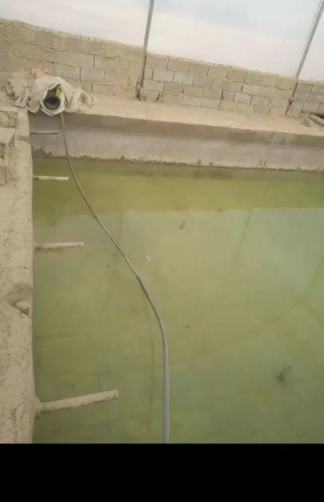 اجاره گلخانه دو سالن مجزا|اجارهٔ دفتر صنعتی، کشاورزی، تجاری|شهریار, دهشاد بالا|دیوار