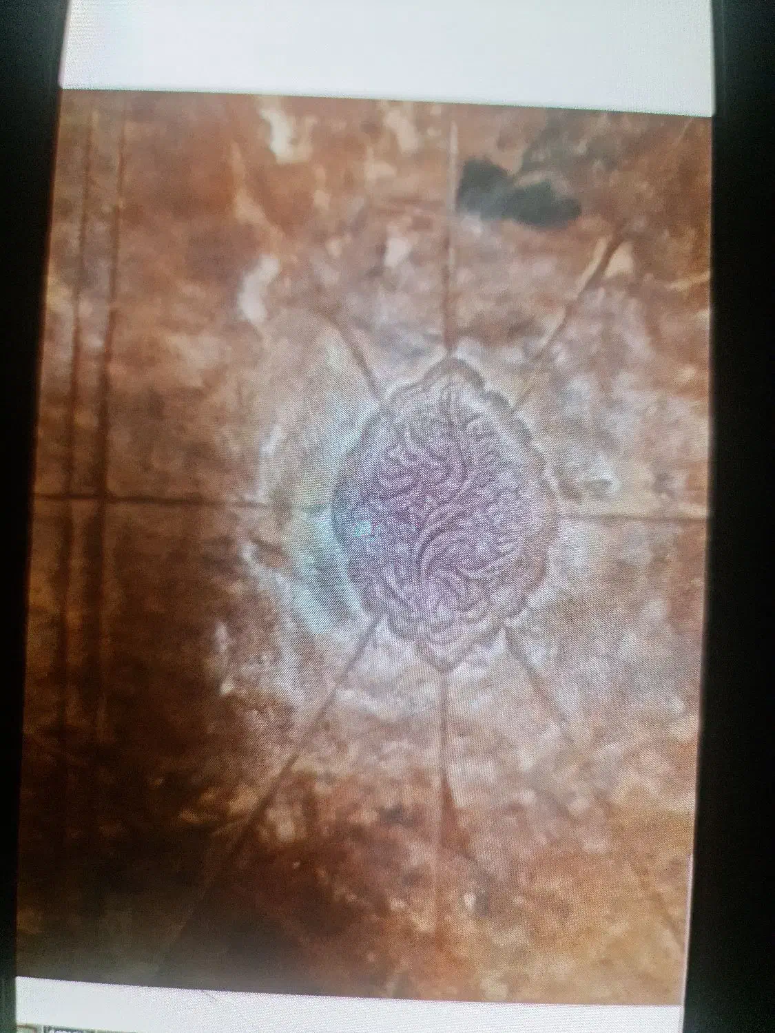 کتاب جلاالعیون چاپ سنگی خیلی قدیمی|کتاب و مجله مذهبی|تبریز, |دیوار