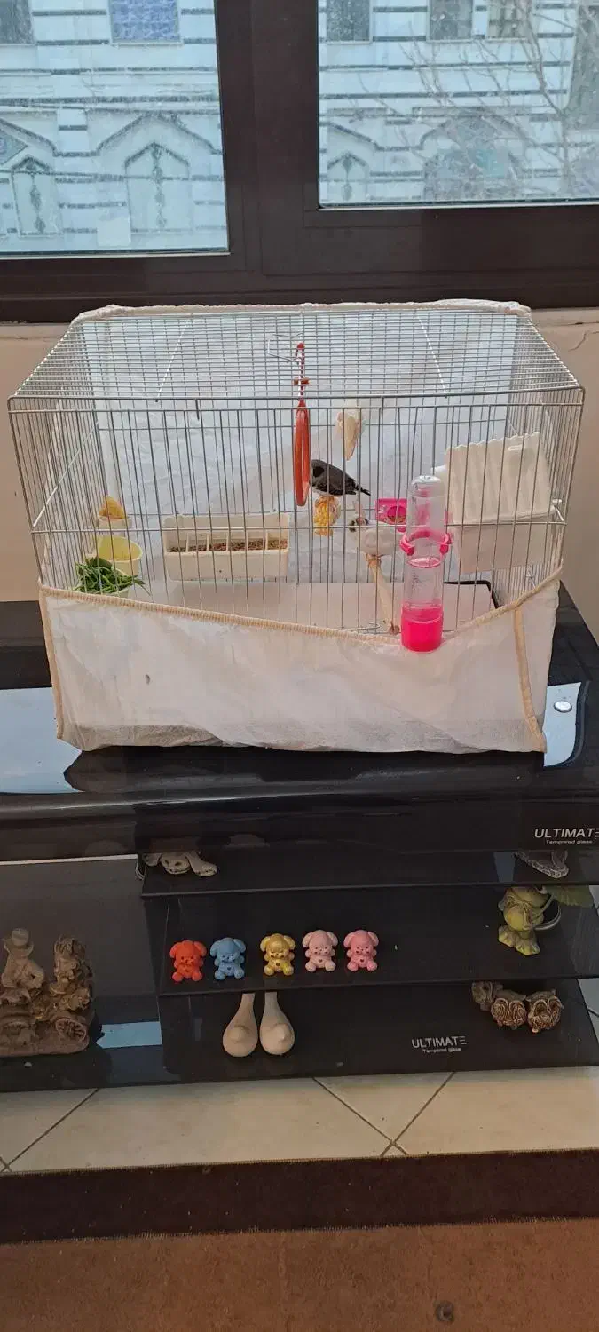 قفس نوی نو بزرگ|لوازم جانبی حیوانات|تهران, علم و صنعت|دیوار
