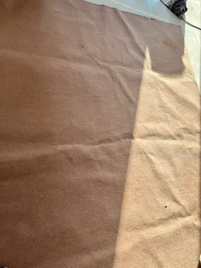 موکت شکلاتی|موکت|مشهد, مصلی (کارمندان اول)|دیوار