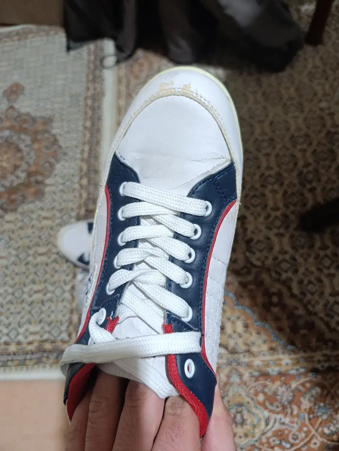 کفش کتانی سایر۴۳|کیف، کفش، کمربند|میانه, |دیوار