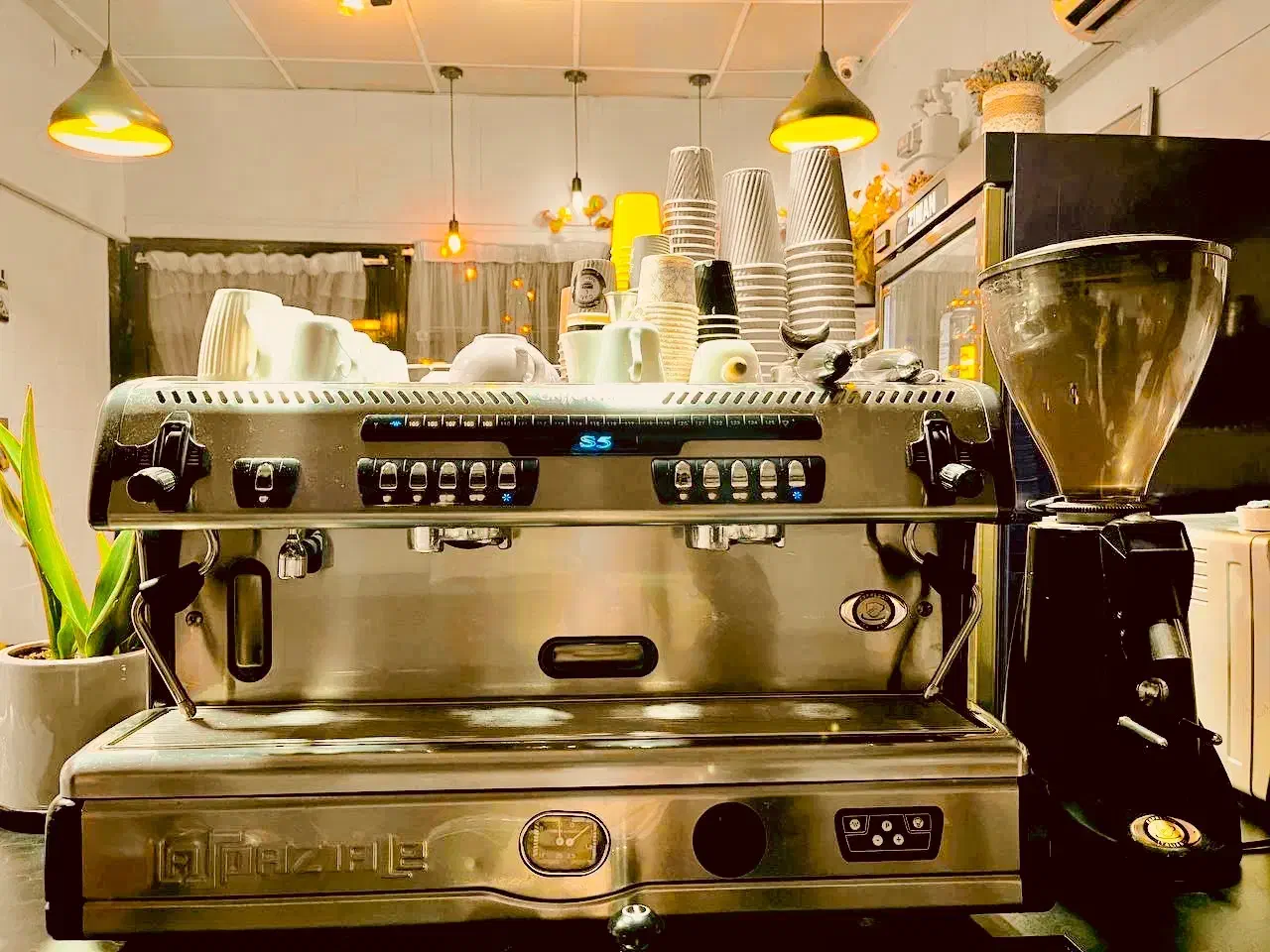 کافه|کافیشاپ و رستوران|کرمان, |دیوار