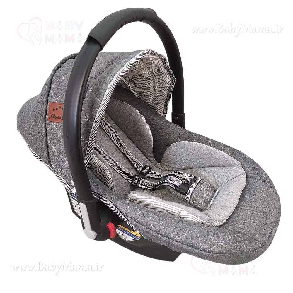 کریر دلیجان در حد نو طوسی|کالسکه و لوازم جانبی|تهران, نصرت|دیوار